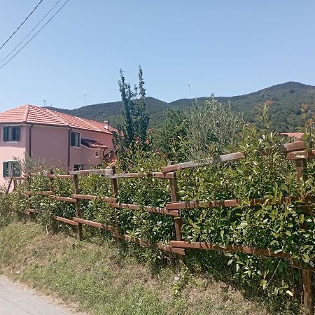La Tana Della Volpetta - Bed & Breakfast Stella Kültér fotó